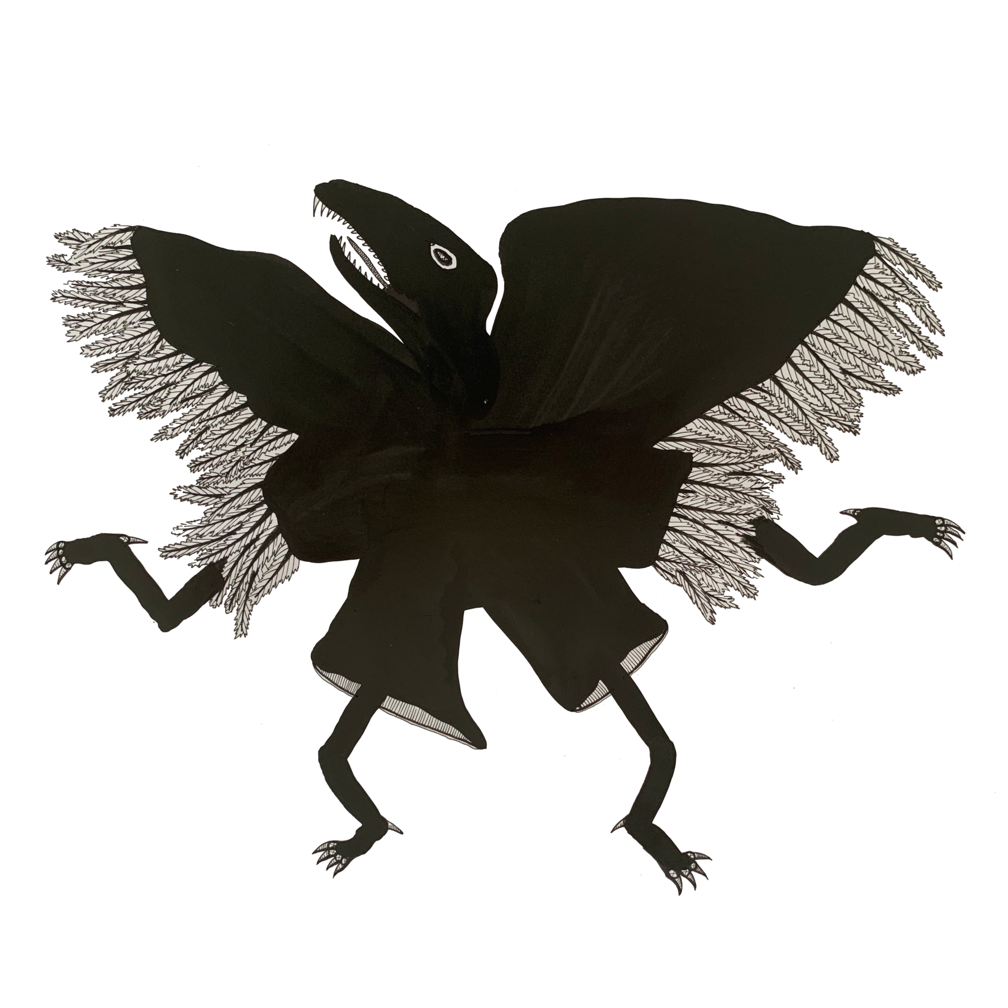 Spread Your Wings
