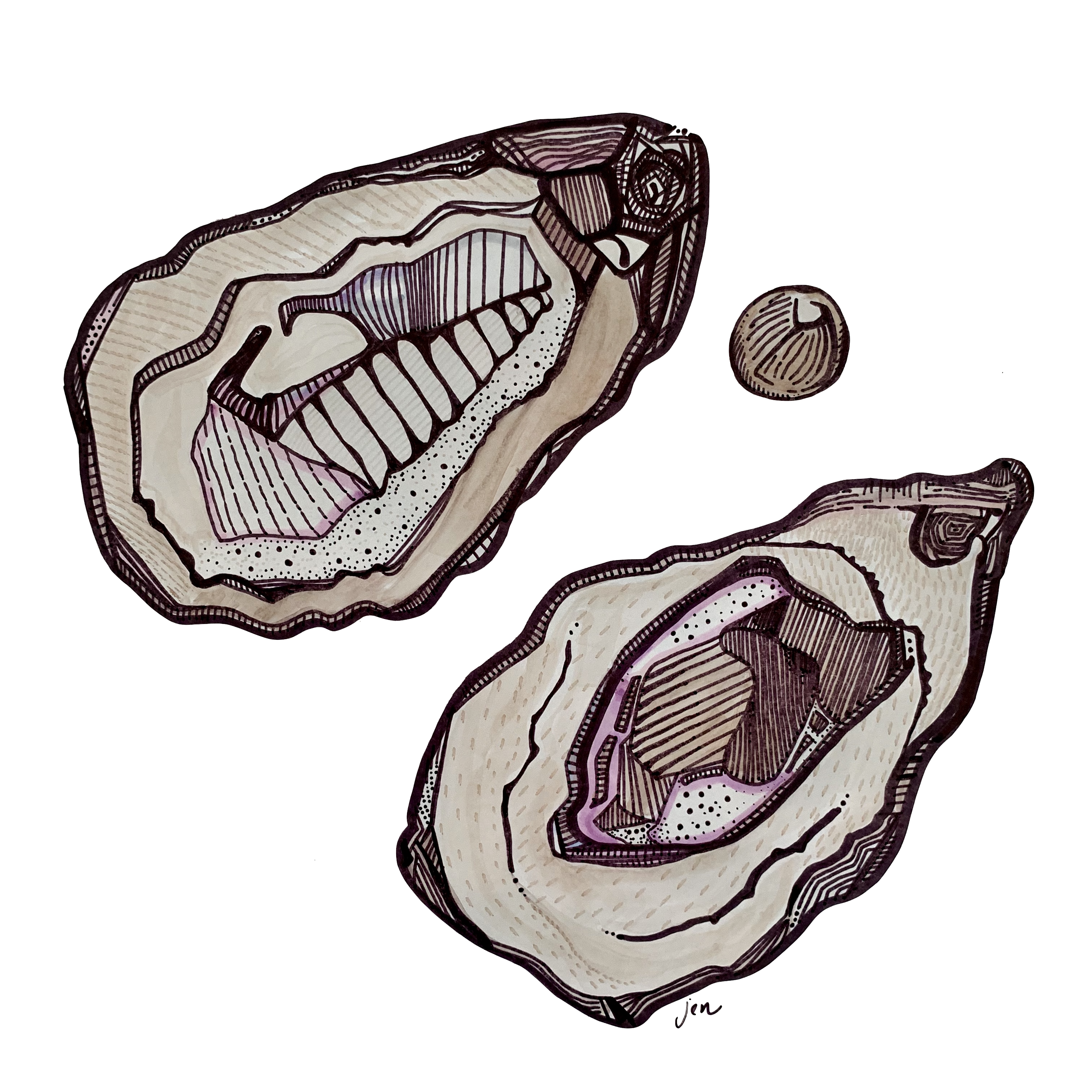 Shucked Oyster
