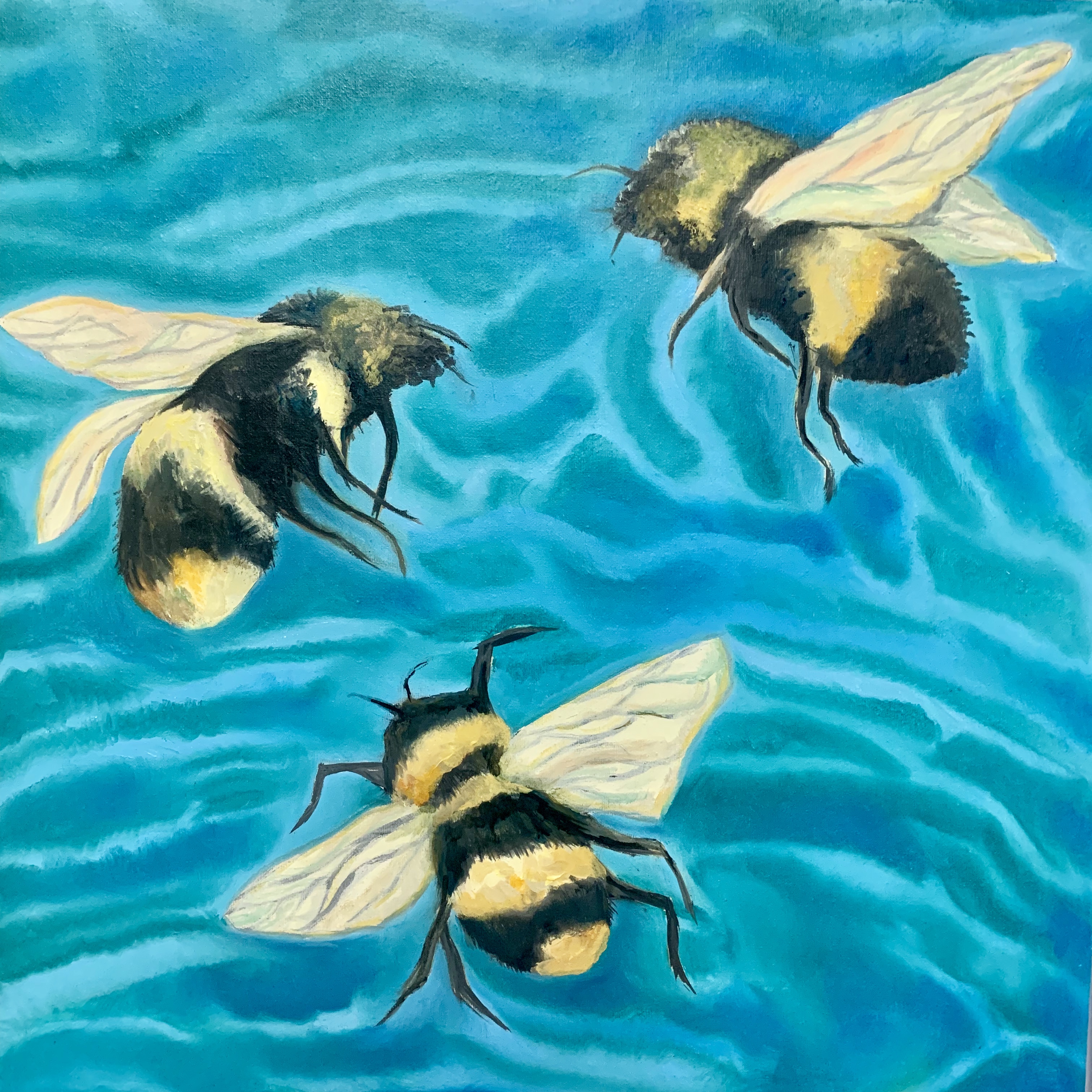 The Bees & The Lake