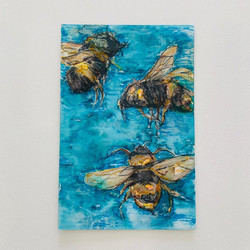Water Bees