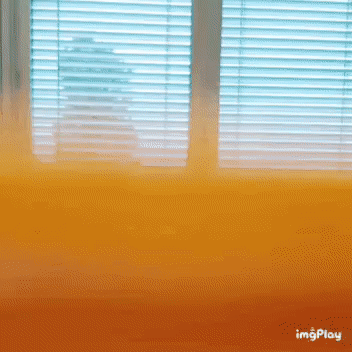 kang.gif