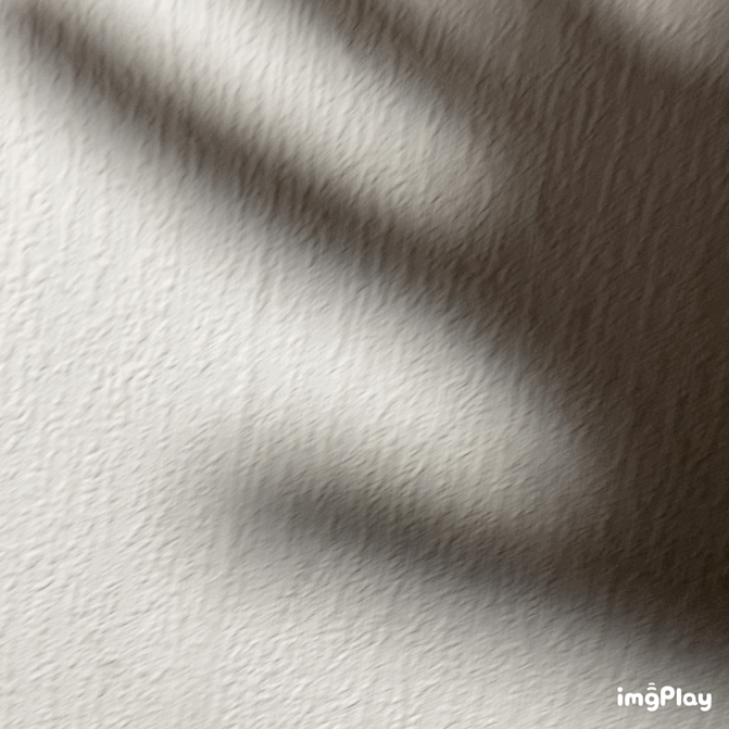 IMB-zx2syH.GIF