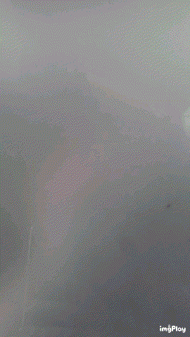 IMG_mfye8v.gif