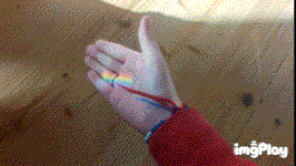 IMG_osvtc4.gif