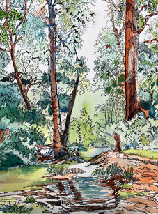 Landscape painting in watercolor and ink of woods and a reflecting puddle in the foreground by Sara Joseph