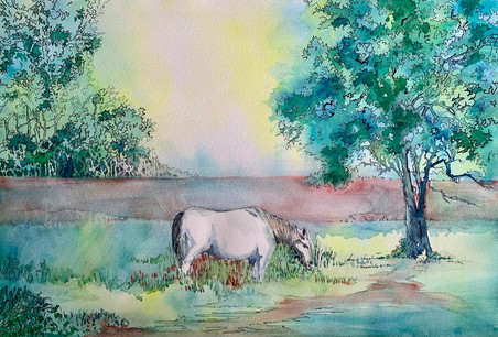 Grazing horse in a landscape with trees in watercolor and ink by Sara Joseph