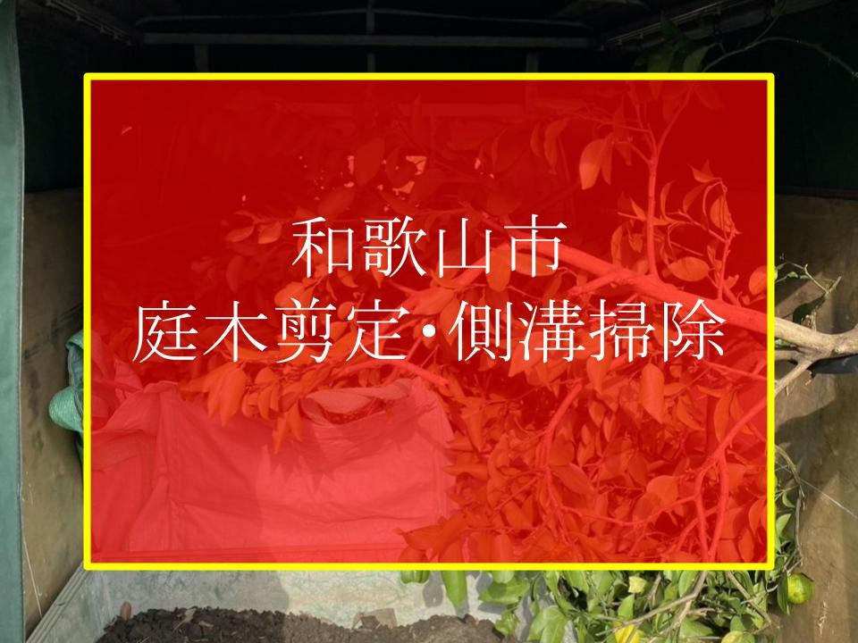 和歌山市　庭木剪定　剪定　側溝掃除　溝掃除