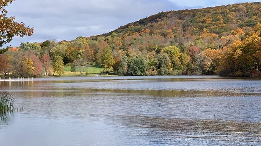 Fall_5.jpg