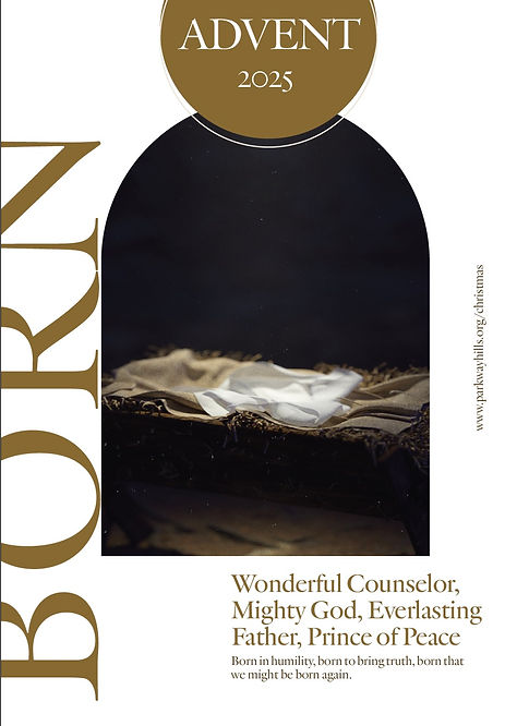Born Advent book cover.jpeg