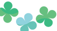 CHC134C.png