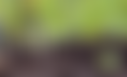 How Does Your Garden Grow?