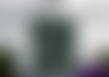 Profane: What happens when you cross the line?