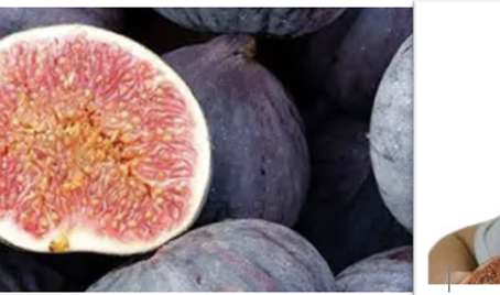 WFTD: Good (tov): Taste and see how good “good” can be.