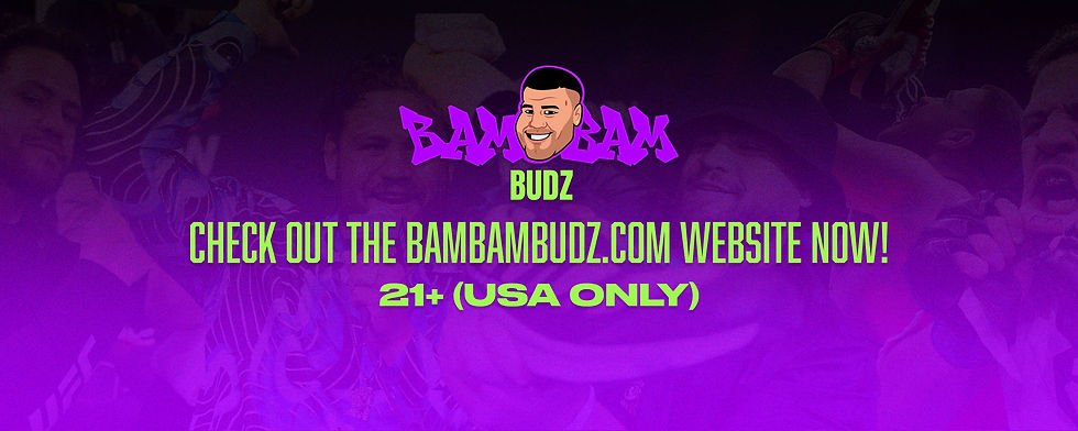 bambambudz-banner-3.jpg