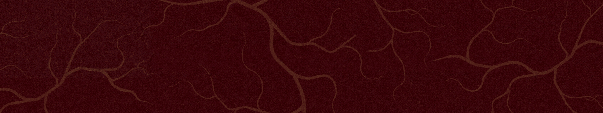 Design sem nome (3).gif