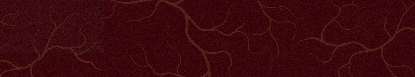 RODAPÉ SITE D8 (3).gif