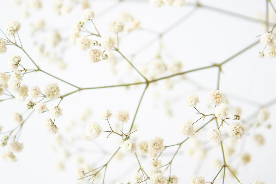 unsplash_JWmNS05a_Hs.png