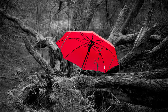 umbrella edit 12.jpg