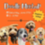 Breed Meetup: Doodles!