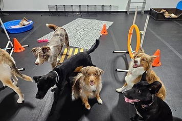 20250827_083845 (1).jpg