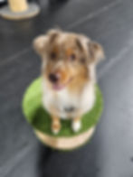 Watson giving us that face we can't resist!