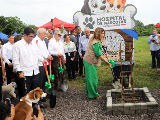 Hospital de Mascotas inicia construcción, con miras a inaugurar a mediados de 2027