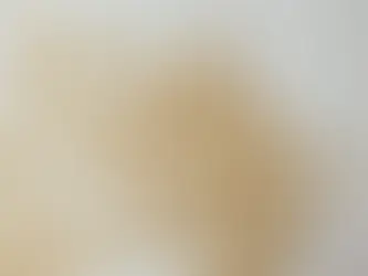 بذور اليقطين