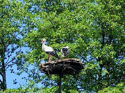 IMG_1929_edited.jpg