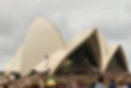 IMG_0183.jpeg