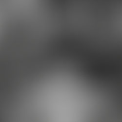 O que define uma pessoa íntegra?