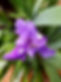 IMG-20250909-WA0177.jpg