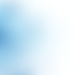 wordpress website security