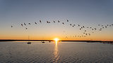 Lake | Coastal Roots Realty