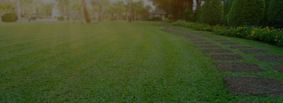 Rectangle 2 (20).jpg