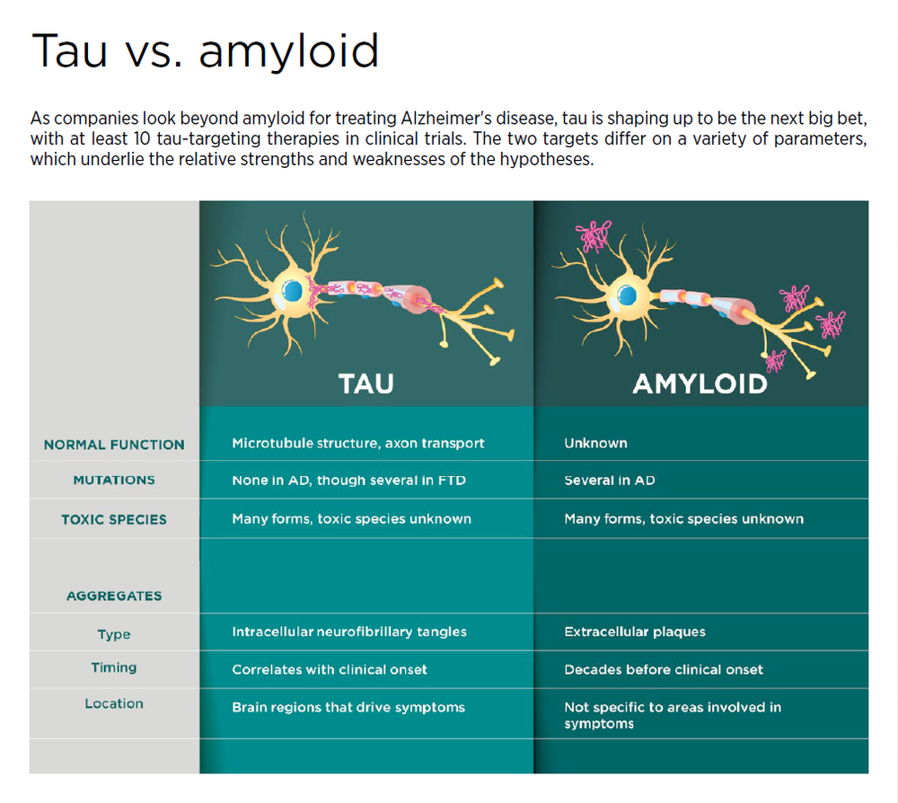 Is tau the new amyloid?