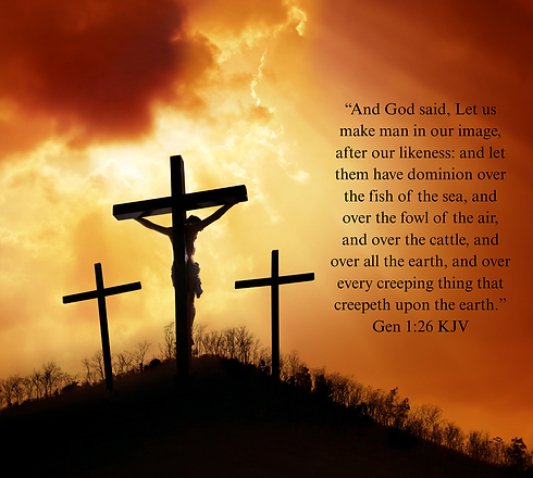 Copy of Copy of Copy of Untitled Design (2).png