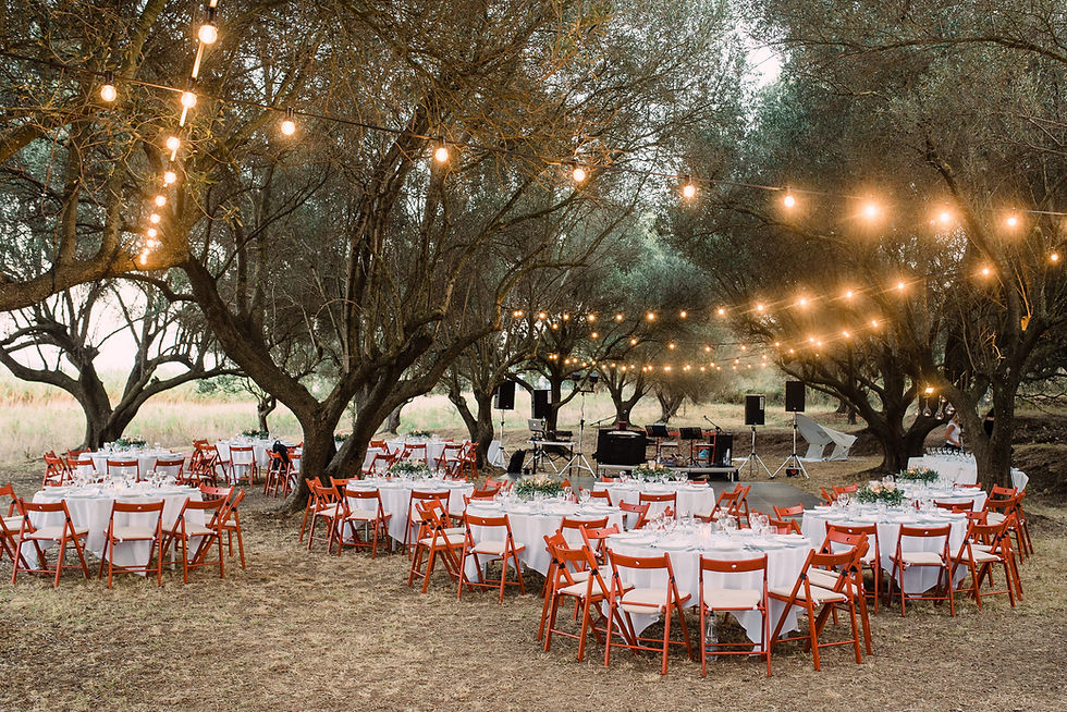 Olive Grove Ceremony