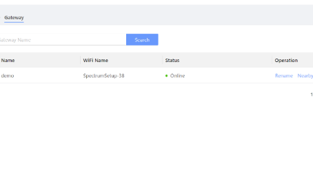 Can I check on the gateway connection status through the web portal?