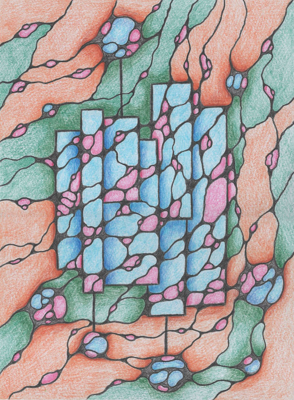 Frigate | Colorpencil
