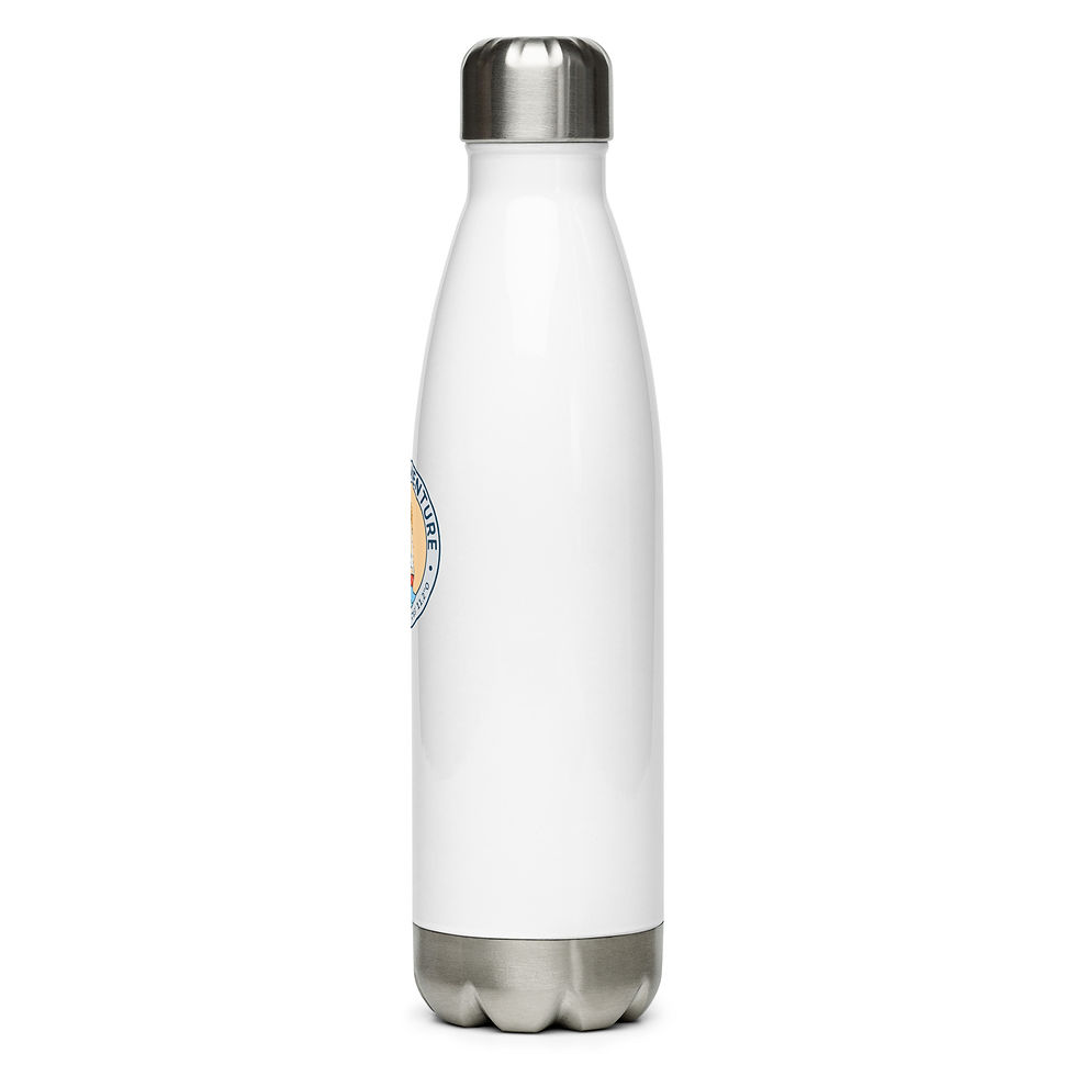 Miniature : Bouteille en Stainless Amure Aventure