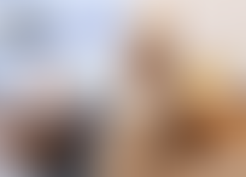 Best Heaters, Electric Blankets, and Gadgets to Stay Warm and Cozy this Winter