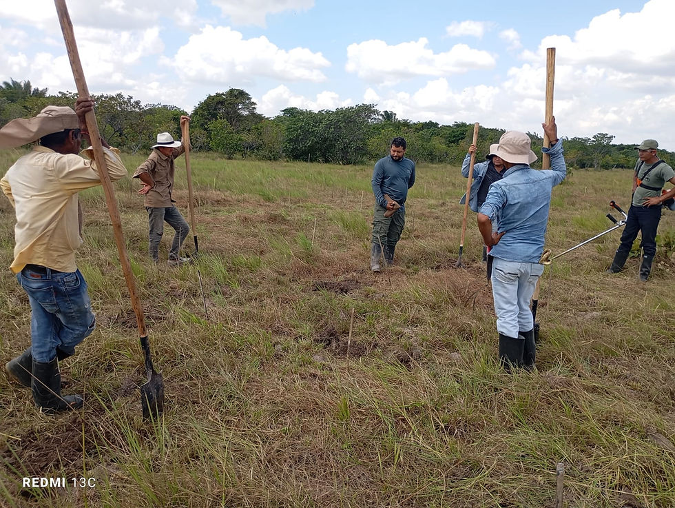 WhatsApp Image 2026-01-26 at 15.24.40.jpeg