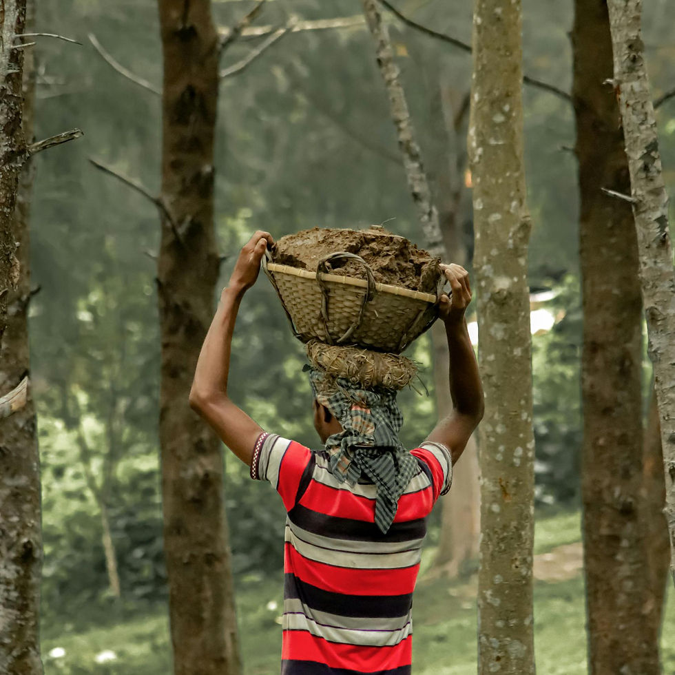 Person in a red striped shirt carries a basket of mud on their head in a forest, surrounded by tall trees, evoking a hardworking mood.