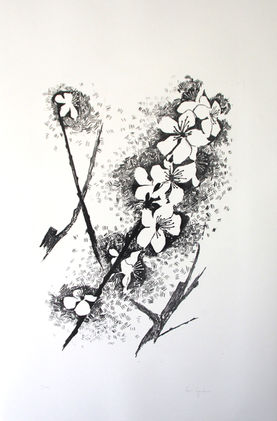 Three twigs showing plumblossoms.