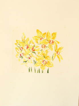 A bundle of narcissus
