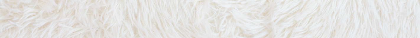 Cream Rug_Header Background.png