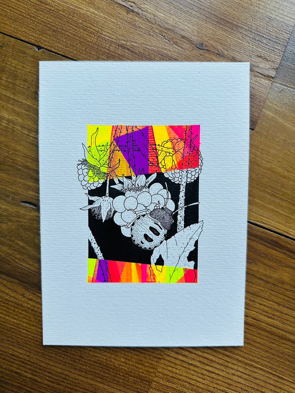 Thumbnail: Punaise verte (larve stade 2)