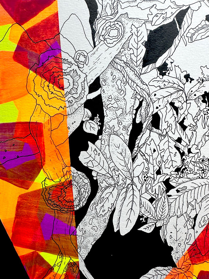 FluorescenceOfCucPhuong_EstelleCRUZ_Copyrights.png