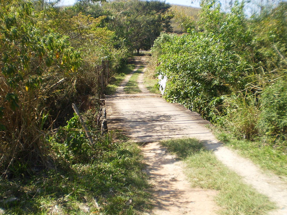 Zildo Corretor de Imóveis