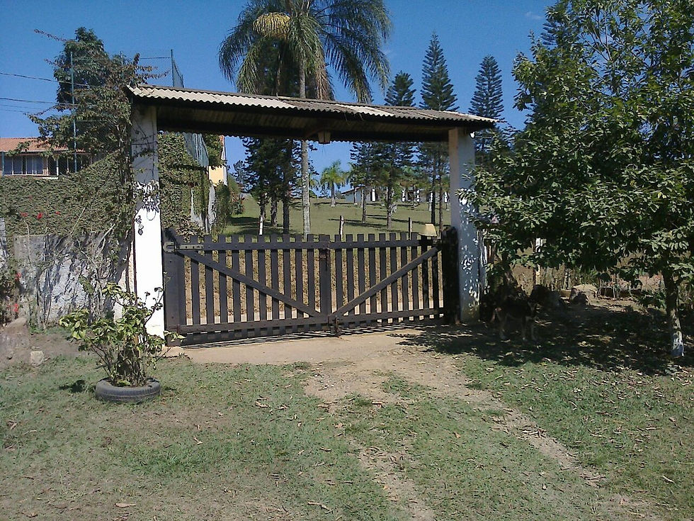 Zildo Corretor de Imóveis